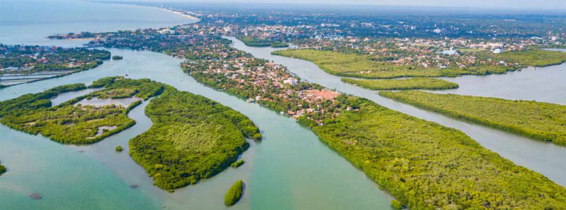 Negombo Lagoon