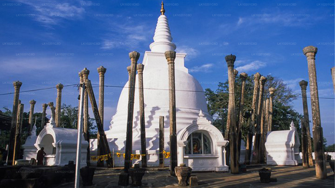 Wilpattu and Anuradhapura from Colombo (2 Days)