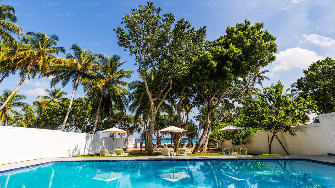 Taru Villas - The Tangalle Social, Tangalle