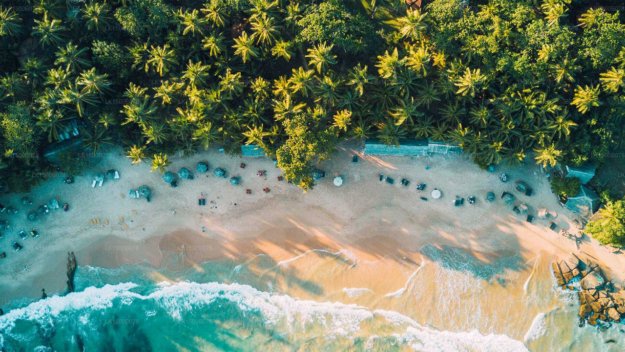 Palm Paradise Cabanas, Tangalle