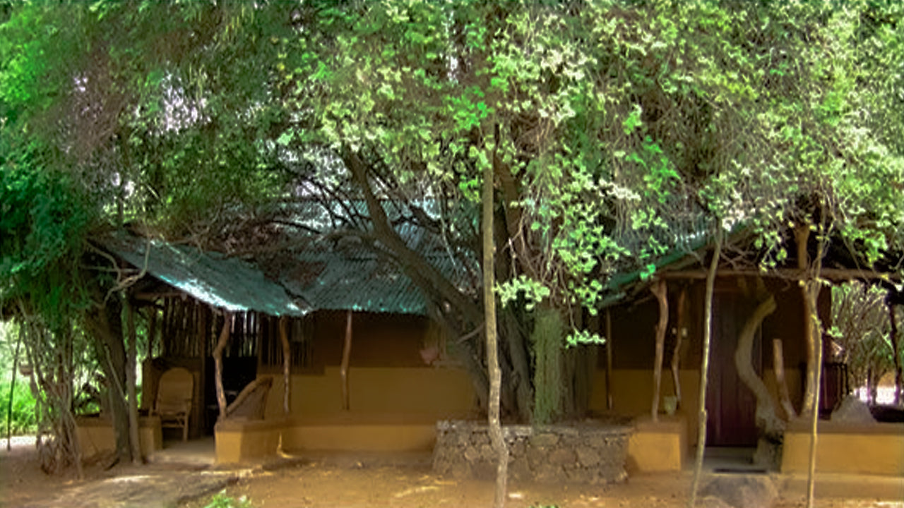 Alkin Adventure Resort, Dambulla