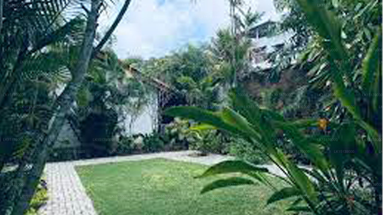 Cottage Garden, Mount Lavinia