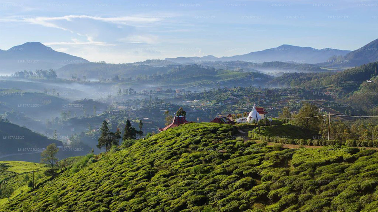 Anilana Craigbank, Nuwara Eliya