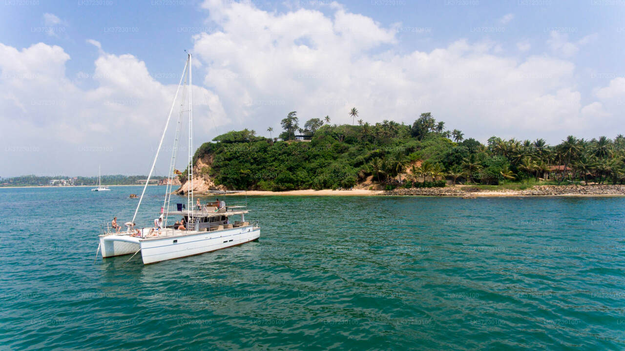 Whale Watching Boat Tour from Trincomalee Seaport