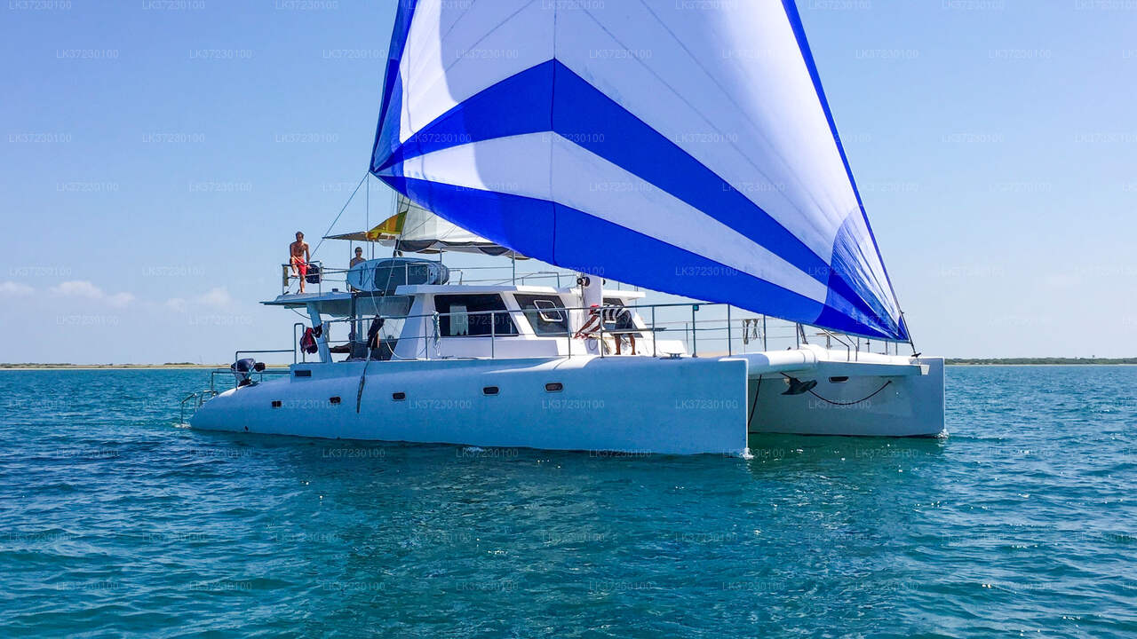 Whale Watching Boat Tour from Trincomalee Seaport