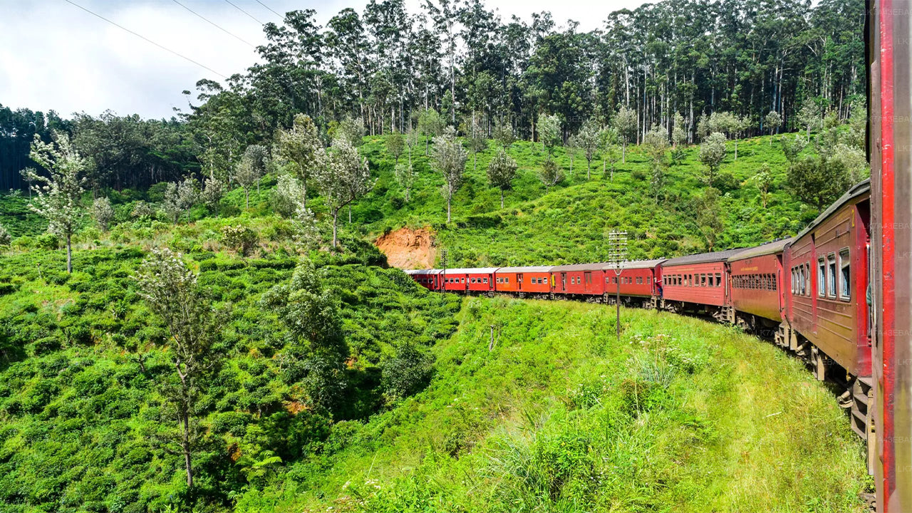 Train Ticket Reservation from Kandy to Ella, Nanu Oya, and Badulla