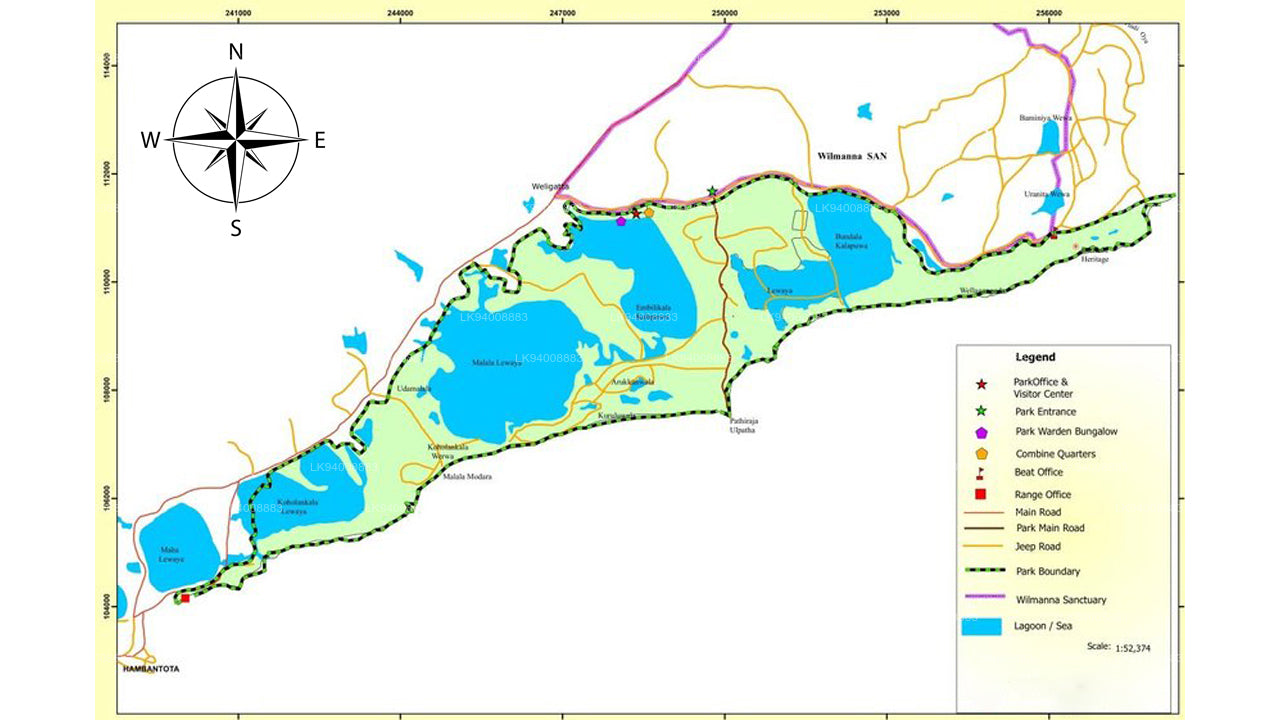 Birdwatching Safari from Bundala National Park