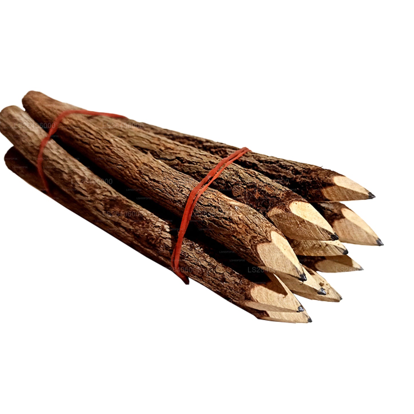 Lakpura Tree Branch Pencil Set