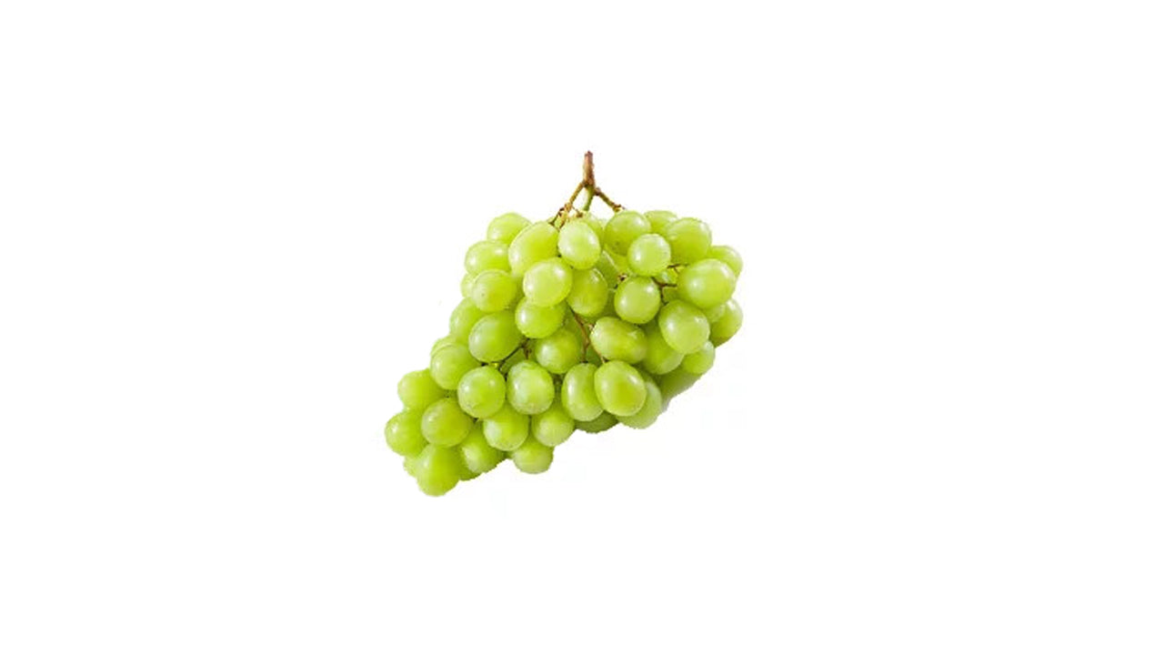 Isabella Grapes (ඉසබෙලා මිදි – කොළ) Fruit Plant