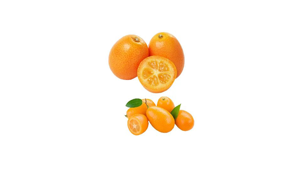 Kumquat (පොත්ත පිටින් කන නාරං බද්ධ) Fruit Plant