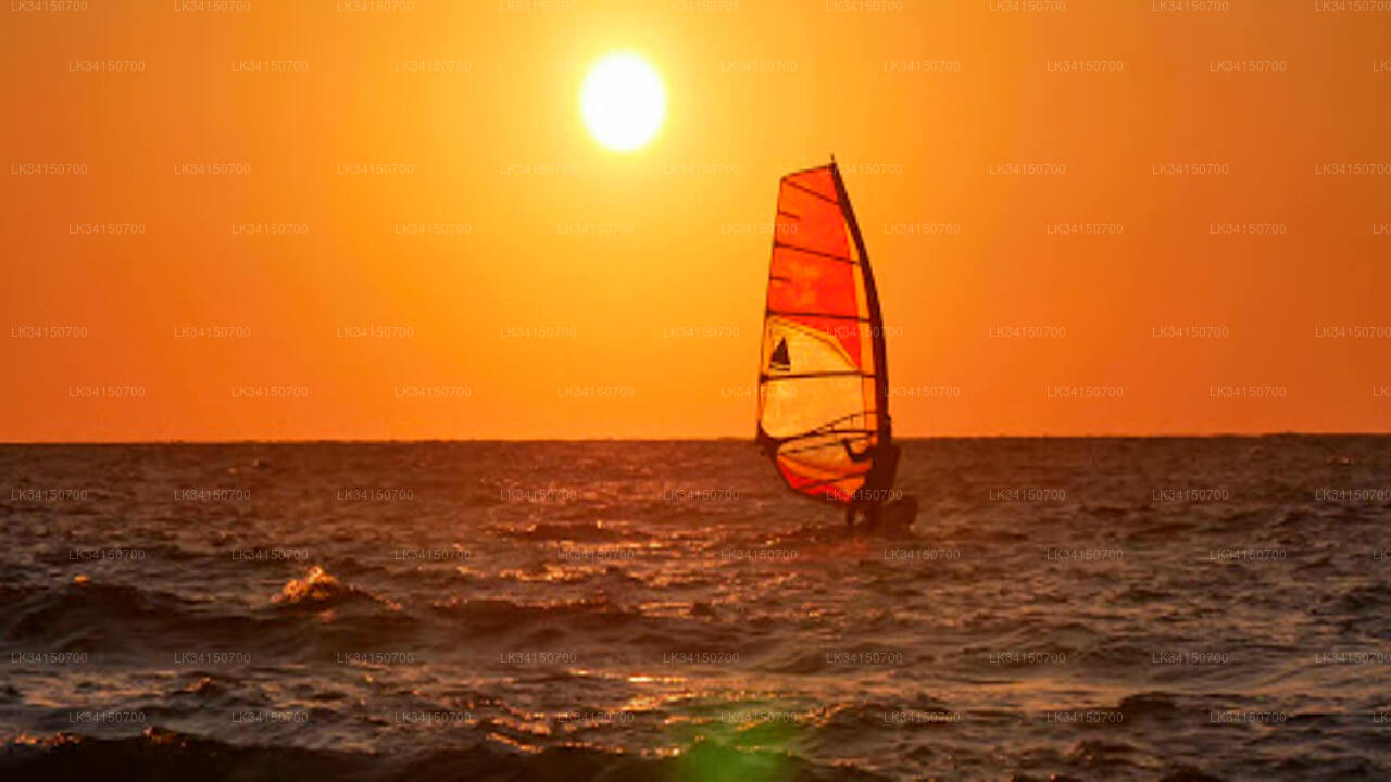 Private 1 hour Beginner Windsurfing Lesson from Kalpitiya