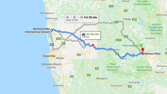 Transfer between Colombo Airport (CMB) and Single Tree Hotel, Nuwara Eliya