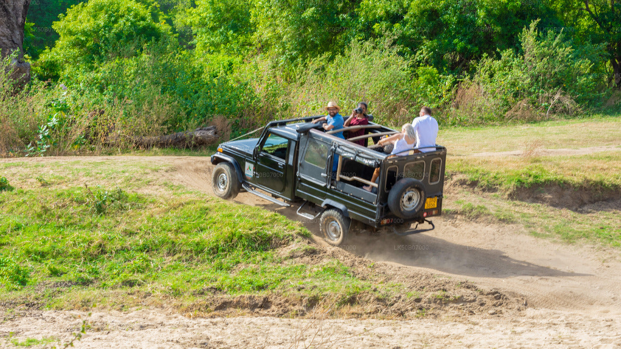 Minneriya National Park Safari From Polonnaruwa