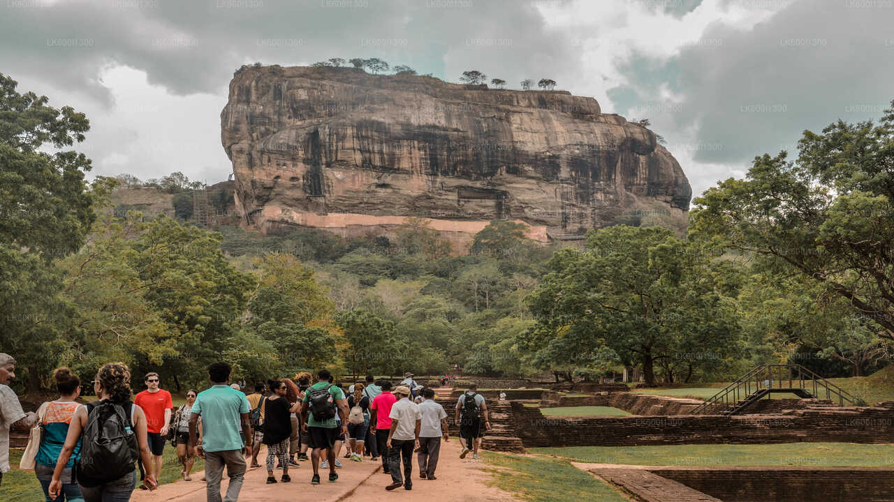 Sigiriya Village Tour and Lunch from Dambulla