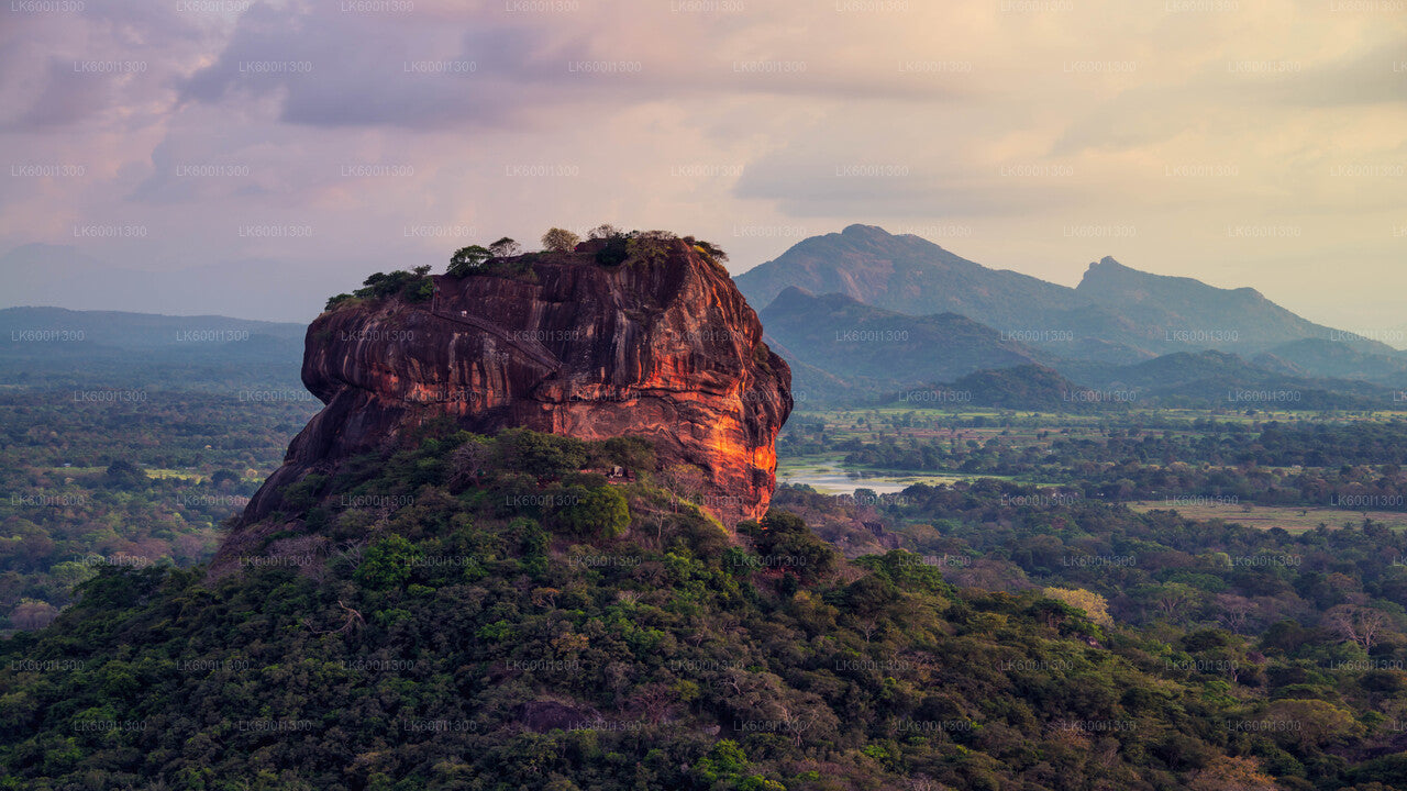 Sigiriya Village Tour and Lunch from Dambulla