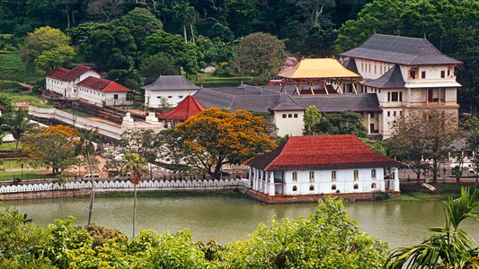 Kandy City Tour from Mount Lavinia