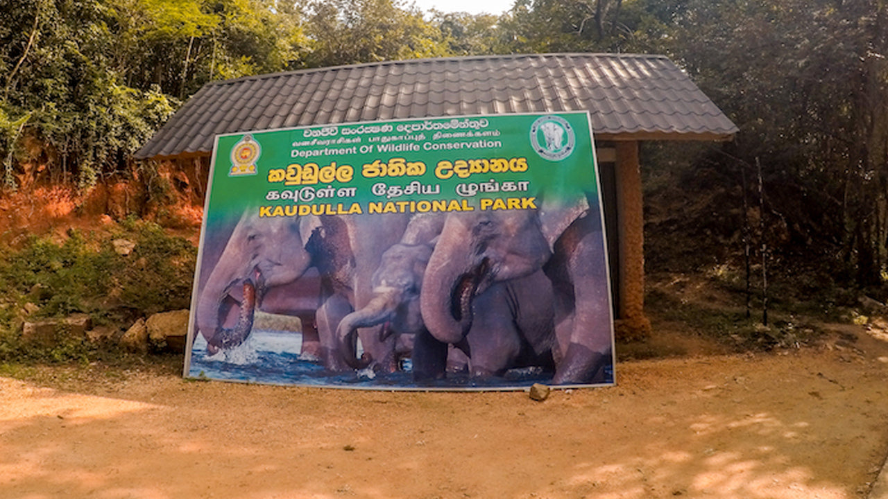 Kaudulla National Park Entrance Tickets