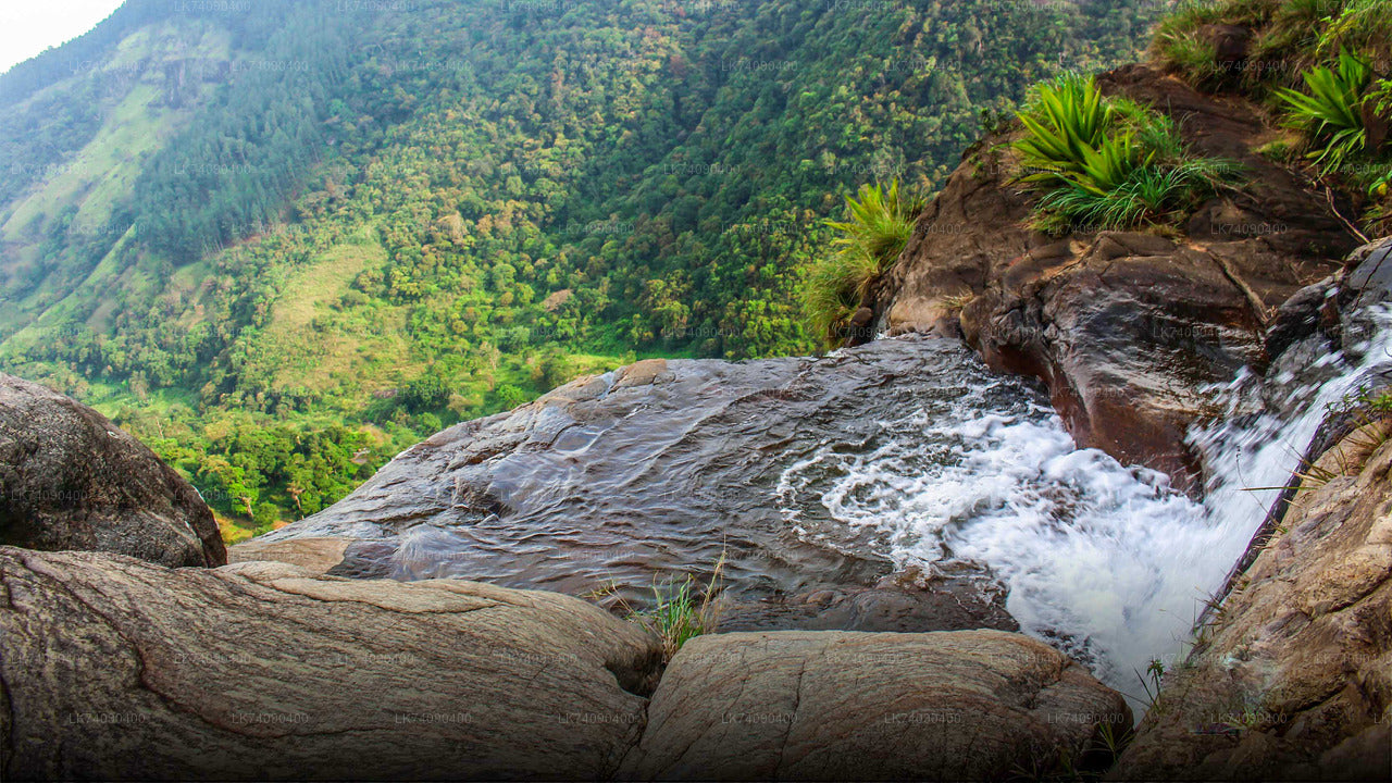 Hike to Bambarakanda Waterfall from Ella