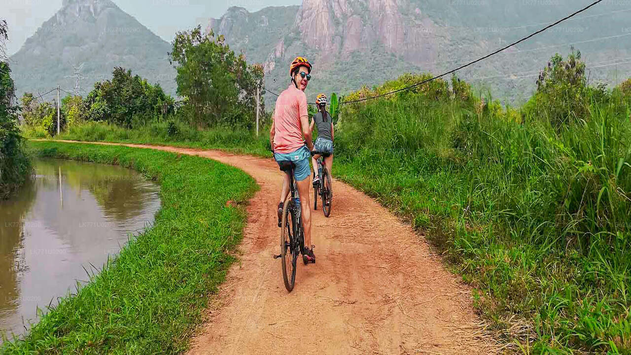 Countryside Cycling from Polonnaruwa