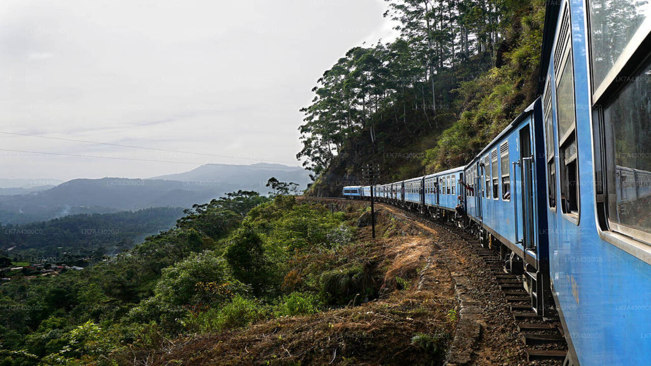 Nanu Oya to Kandy train ride on (Train No: 1006 "Podi Menike")