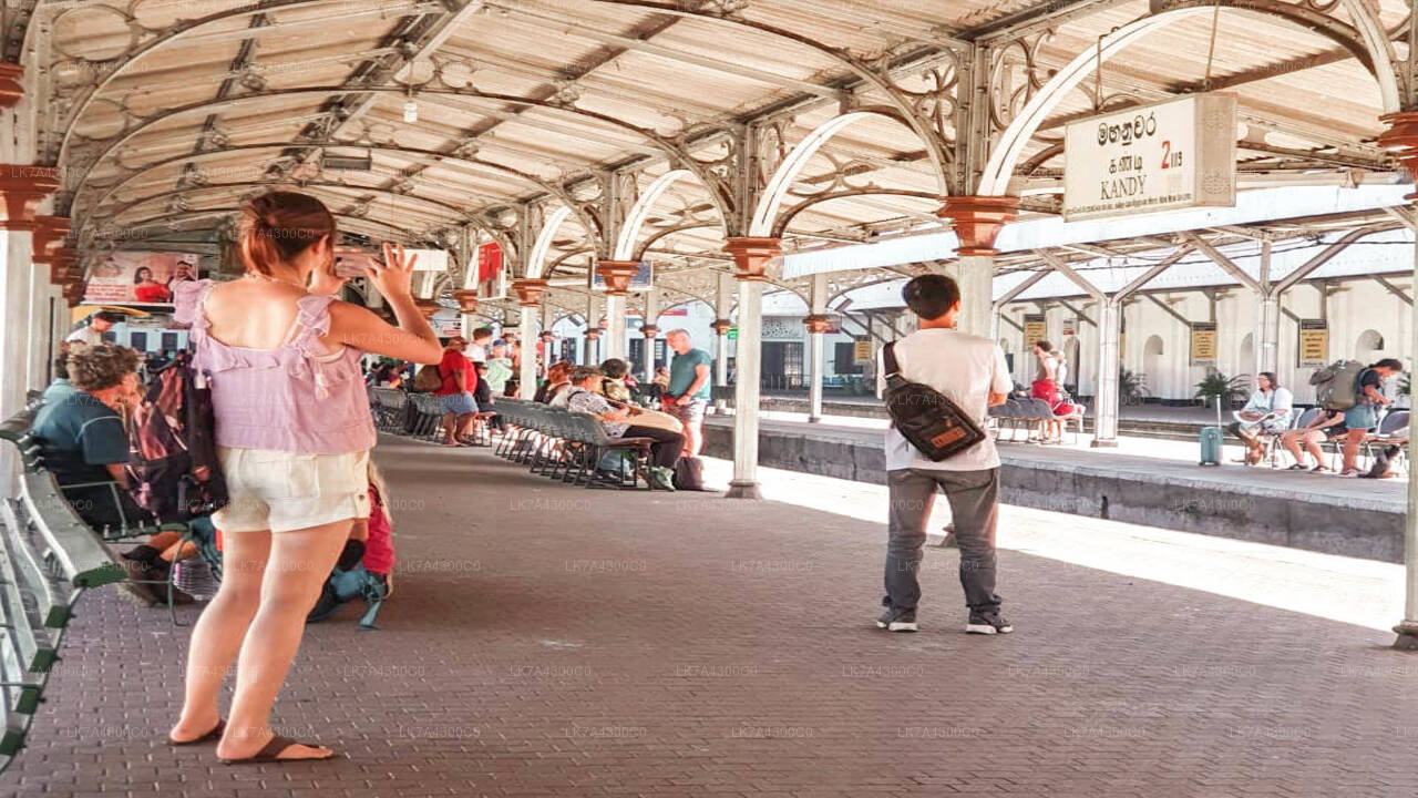 Nanu Oya to Kandy train ride on (Train No: 1006 "Podi Menike")