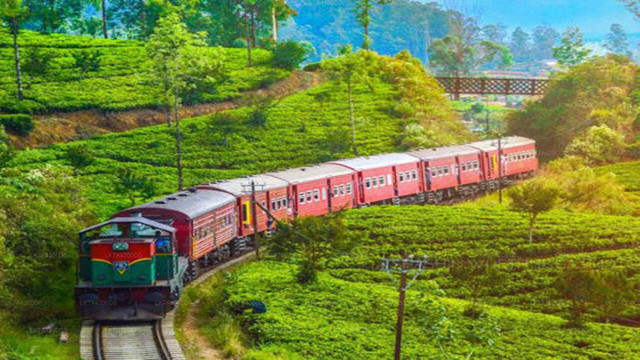 Nanu Oya to Kandy train ride on (Train No: 1016 "Udarata Menike")