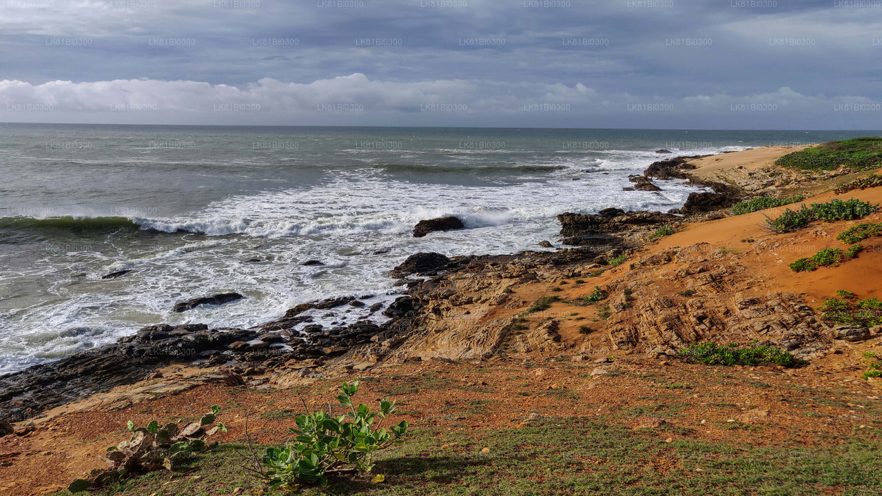 Bundala National Park Safari From Hambantota Port