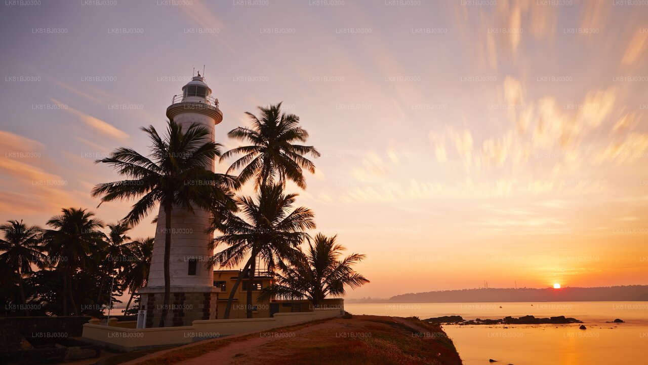 Coastal Ride to Galle from Colombo Seaport